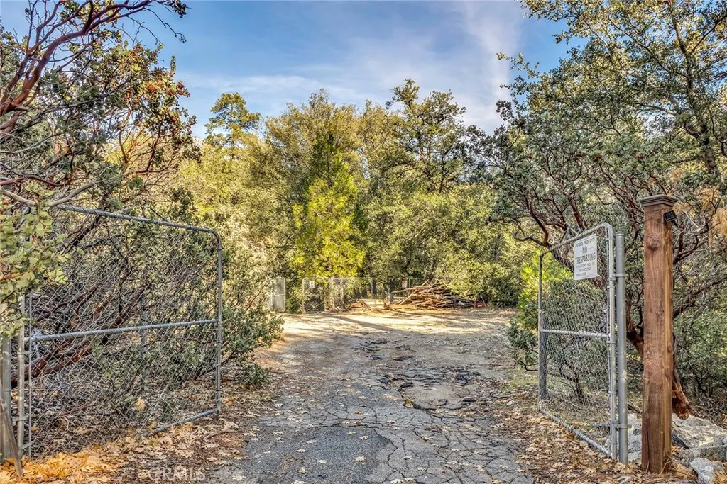 53580 Jeffrey Pine, Idyllwild, California 92549 home-pic-52
