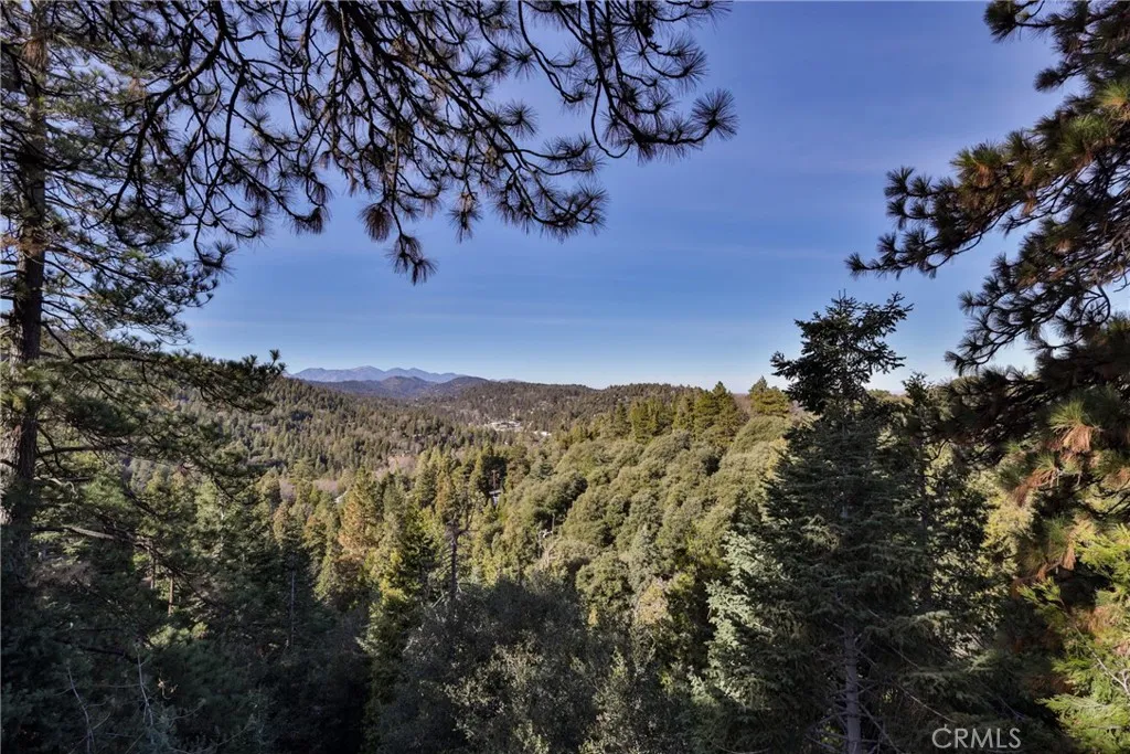 25152 Valle Drive, Crestline, California 92325 home-pic-19