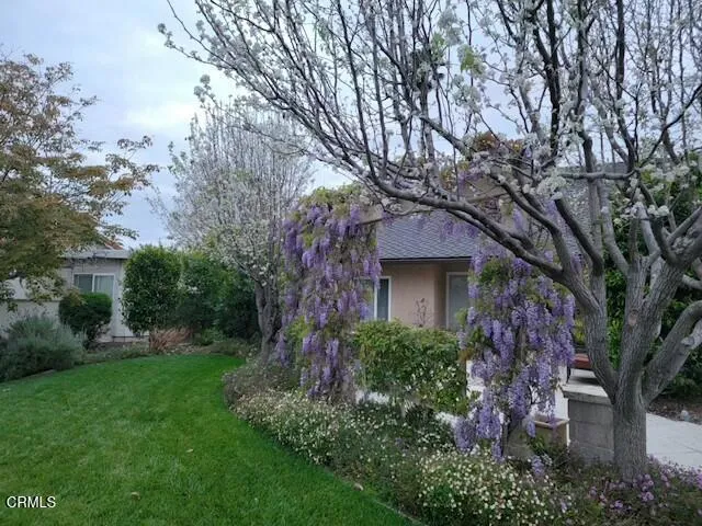 3475 E Karena Court, Camarillo, California 93010 home-pic-5