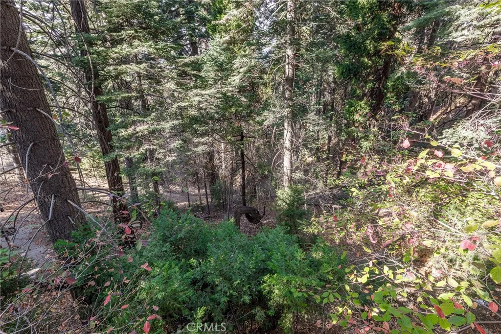 529 West Victoria Court, Lake Arrowhead, California 92352 home-pic-17