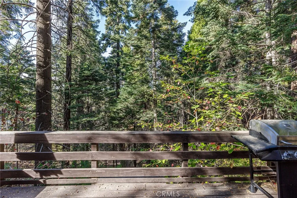 529 West Victoria Court, Lake Arrowhead, California 92352 home-pic-20