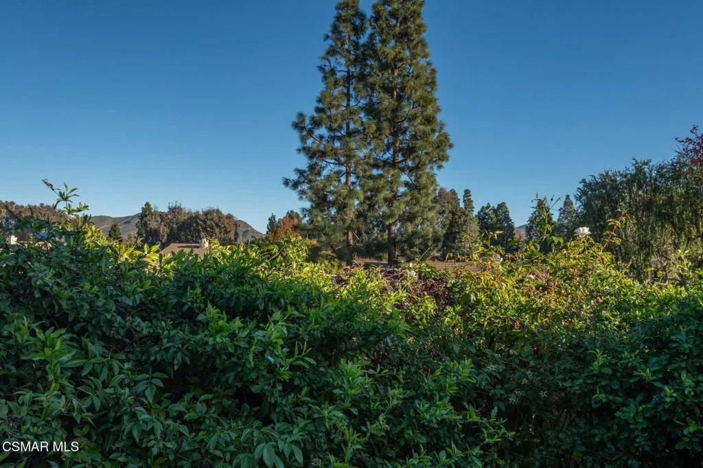 268 Novina Place, Camarillo, California 93012 home-pic-25
