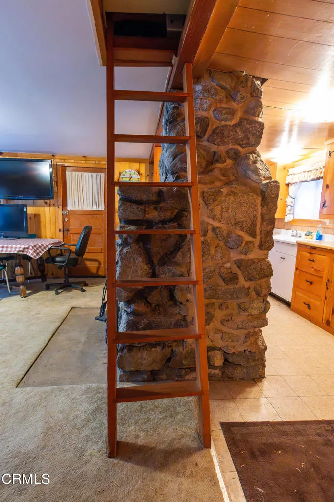 9320 Wood Road, Forest Falls, California 92339 home-pic-8