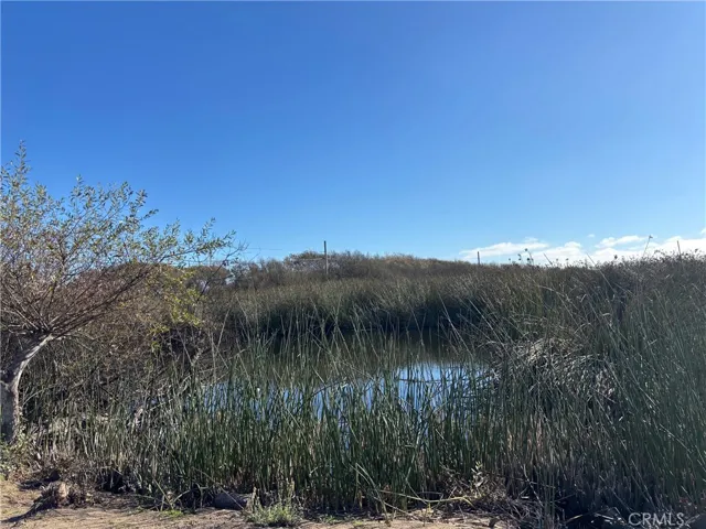 View of Lagoon and high dunes from the lot