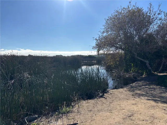 Lagoon and duck area across the street