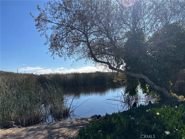 Lagoon directly across Juanita Ave from this parcel