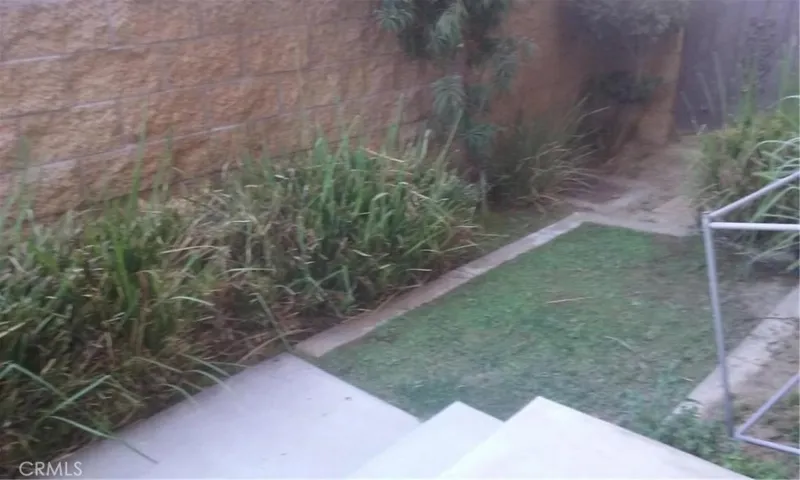 Small Rear Yard