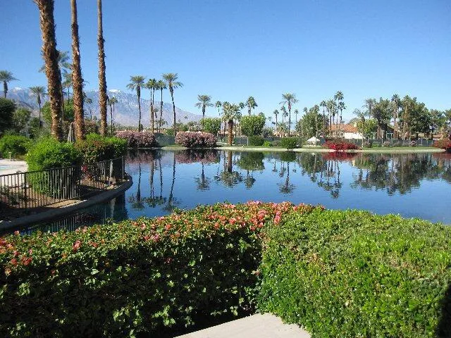 IMG_3425