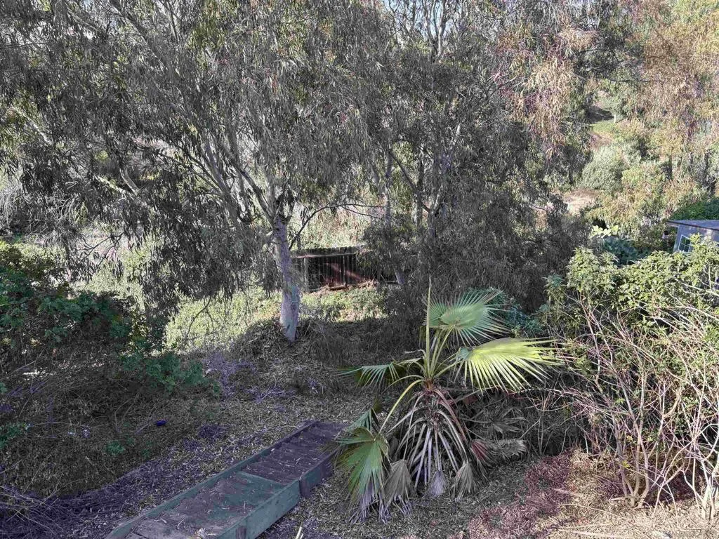 3466 Wisteria Dr, San Diego, California 92106 home-pic-15