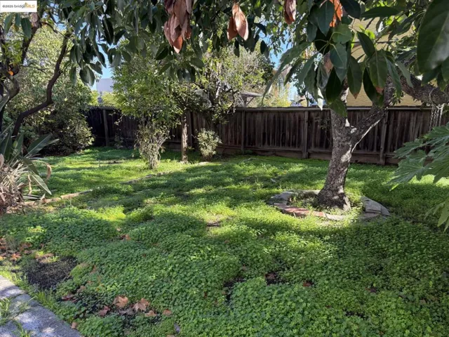 View of fenced backyard