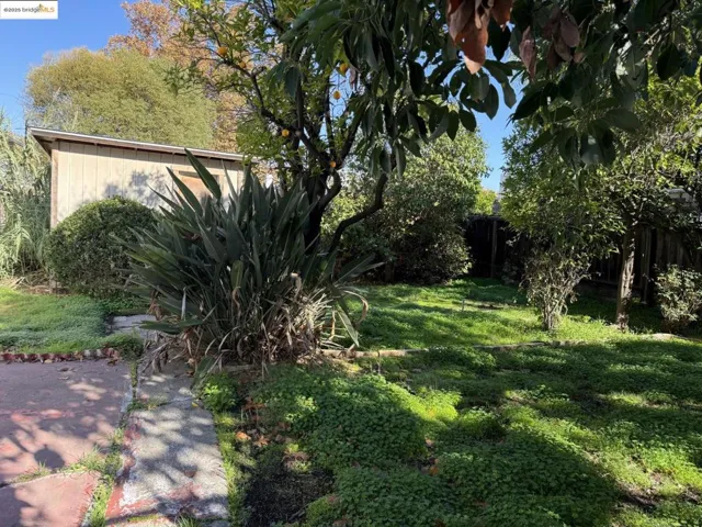 View of fenced backyard