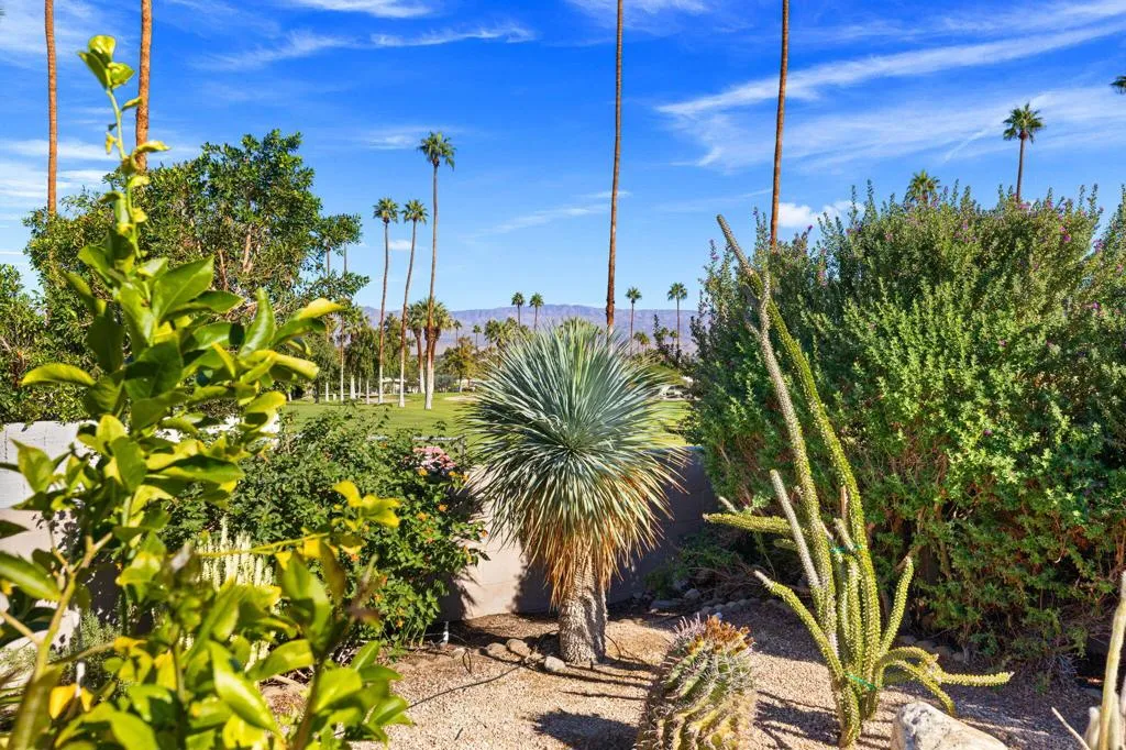 46310 Burroweed Lane, Palm Desert, California 92260 home-pic-22