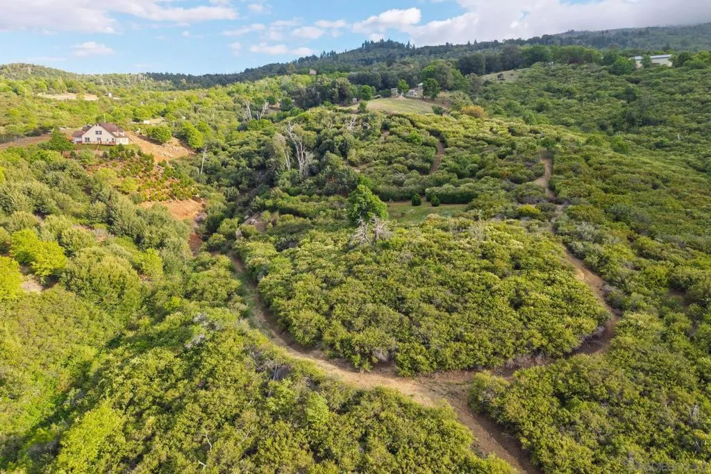 16913 Harrison Park Trl, Julian, California 92036 home-pic-47