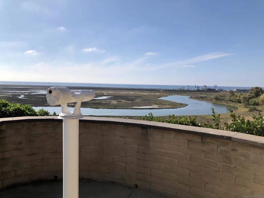 2422 Caminito Ocean Cv, Cardiff By The Sea, California 92007 home-pic-61