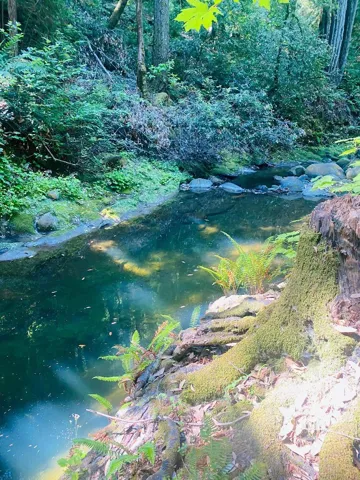 17710 Bear Creek Road, Boulder Creek, California 95006