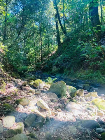 17710 Bear Creek Road, Boulder Creek, California 95006