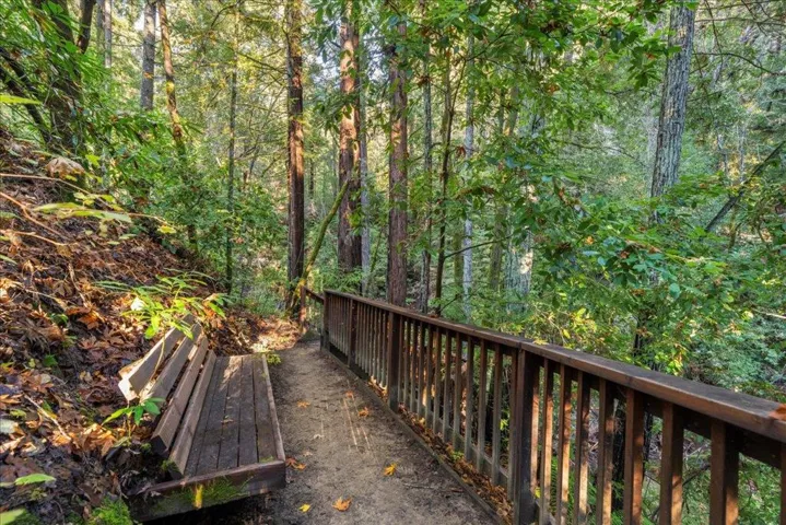Bench on path to creek