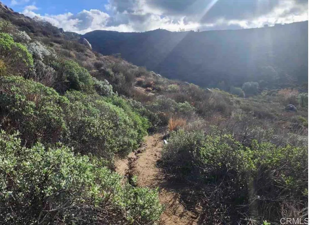 Pathway