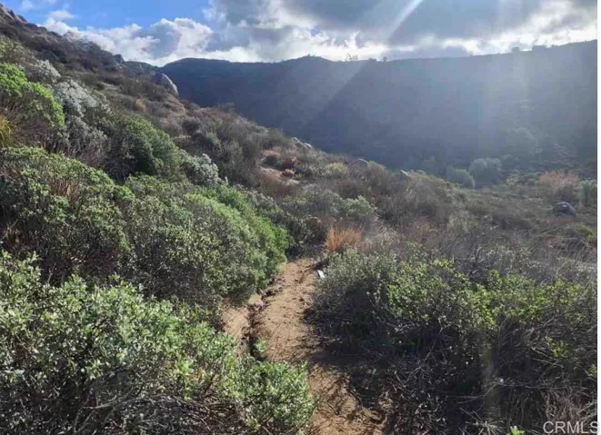 Pathway