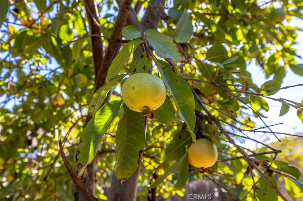 10022 Chula Vista Way, Riverside, California 92503 home-pic-28