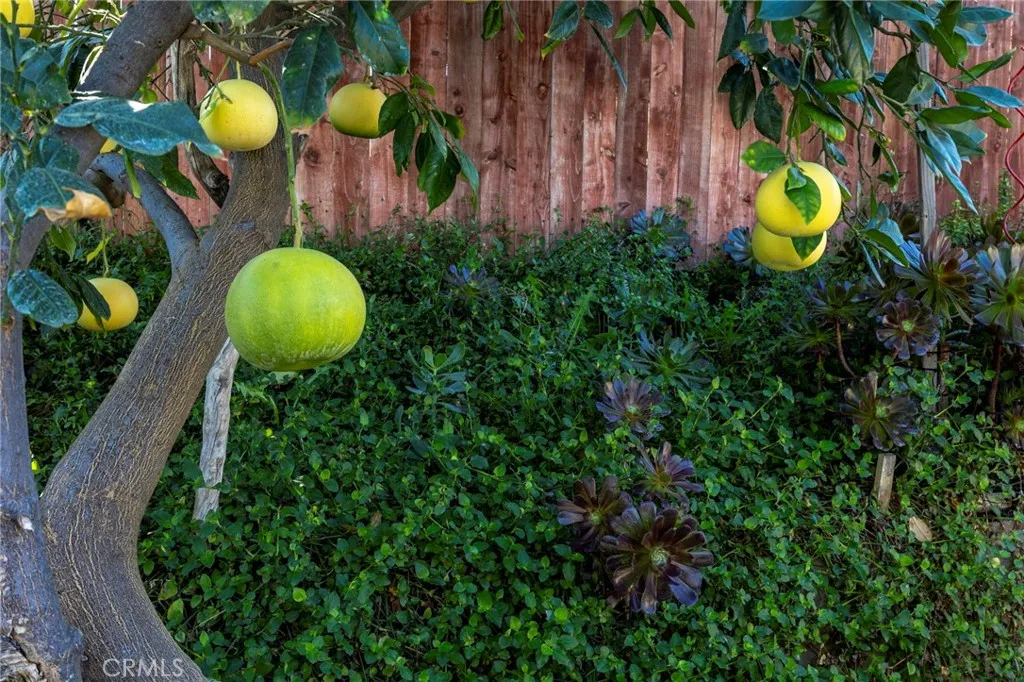 10022 Chula Vista Way, Riverside, California 92503 home-pic-26