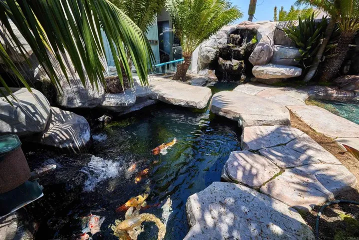 Koi Pond