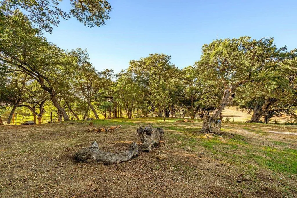 25258 Black Canyon Road, Santa Ysabel, California 92070 home-pic-41