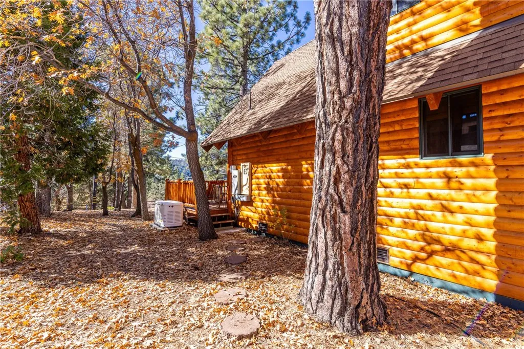 1240 Sheephorn, Big Bear City, California 92314 home-pic-43
