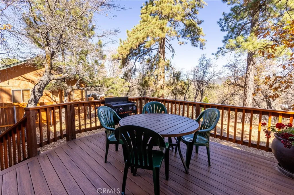 1240 Sheephorn, Big Bear City, California 92314 home-pic-36