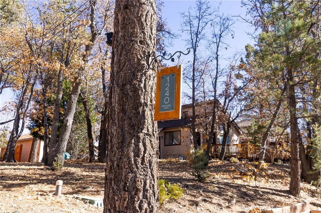 1240 Sheephorn, Big Bear City, California 92314 home-pic-41