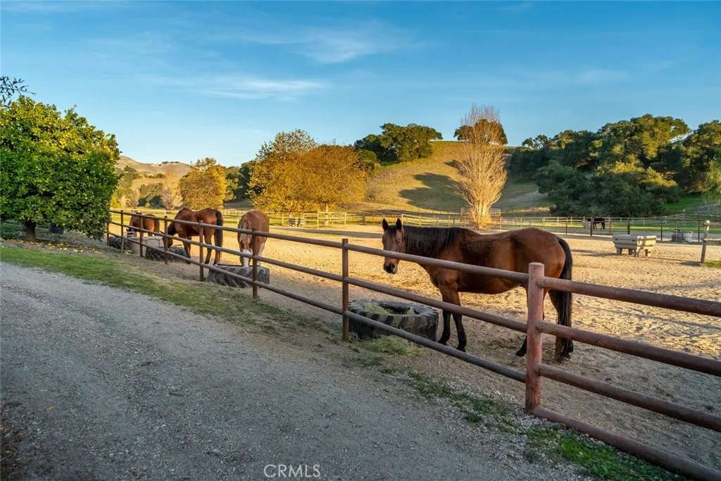 1535 Wild Rye, Arroyo Grande, California 93420 home-pic-68