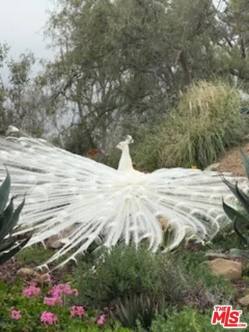 our visitor on display!
