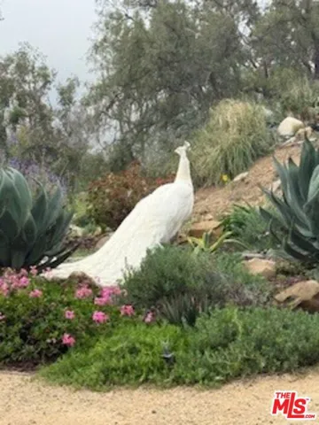 a regular visitor