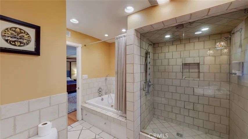 Master bath tub
