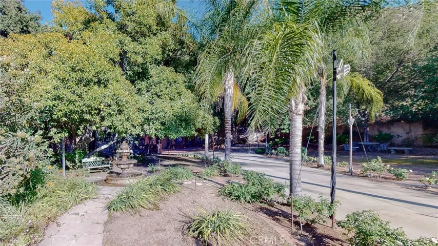 Front garden