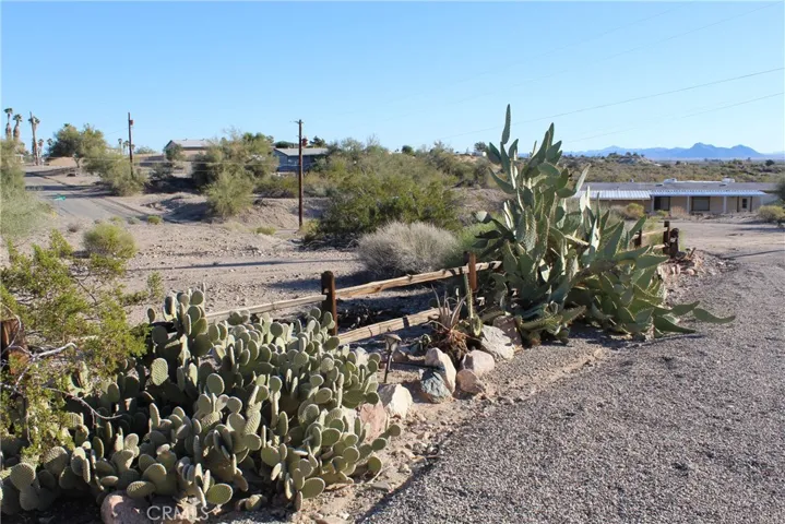 Desert landscape