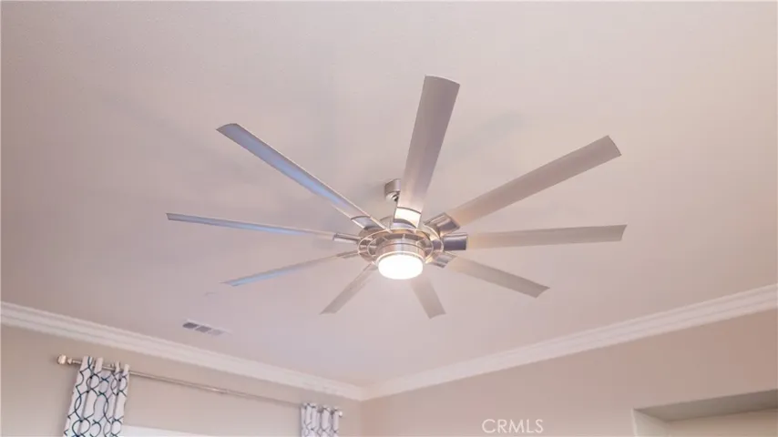Family Room Ceiling Fan