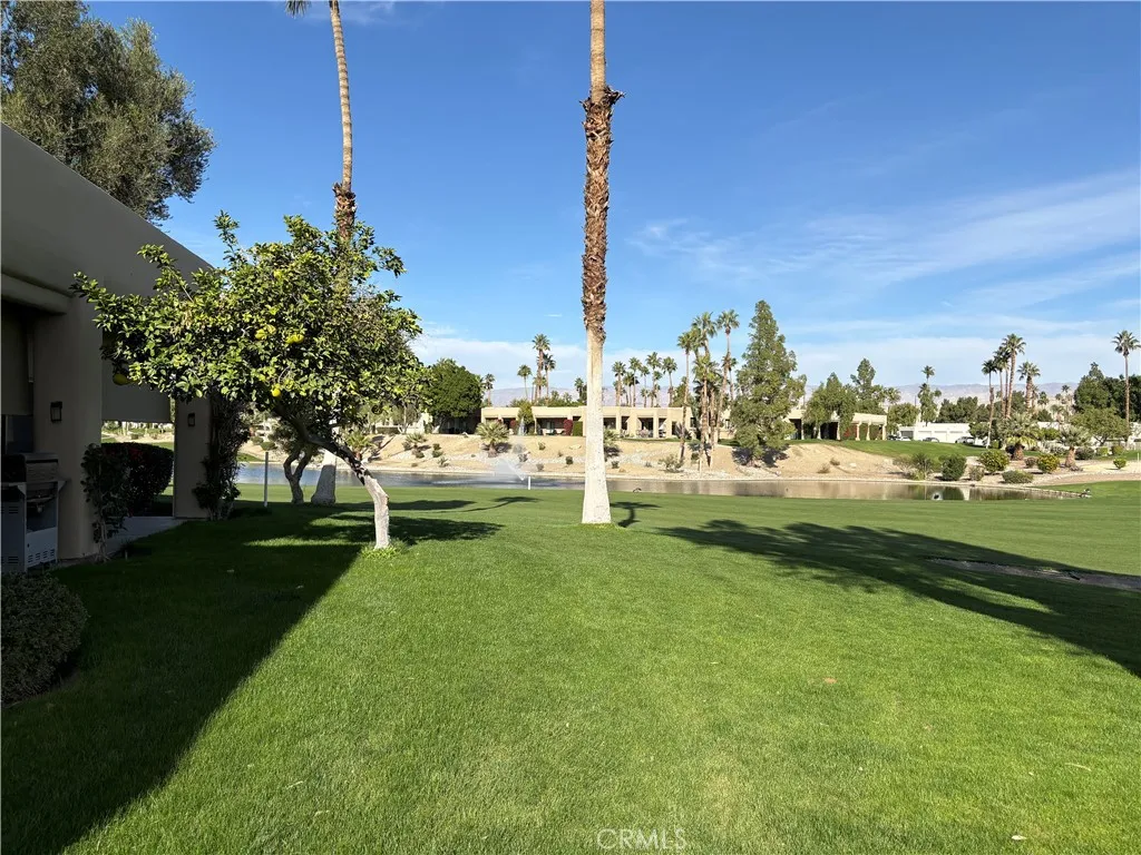 Patio View