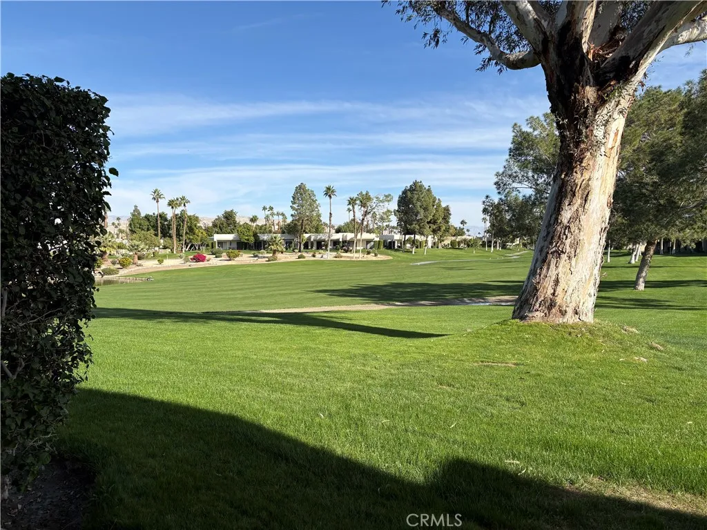 Patio View