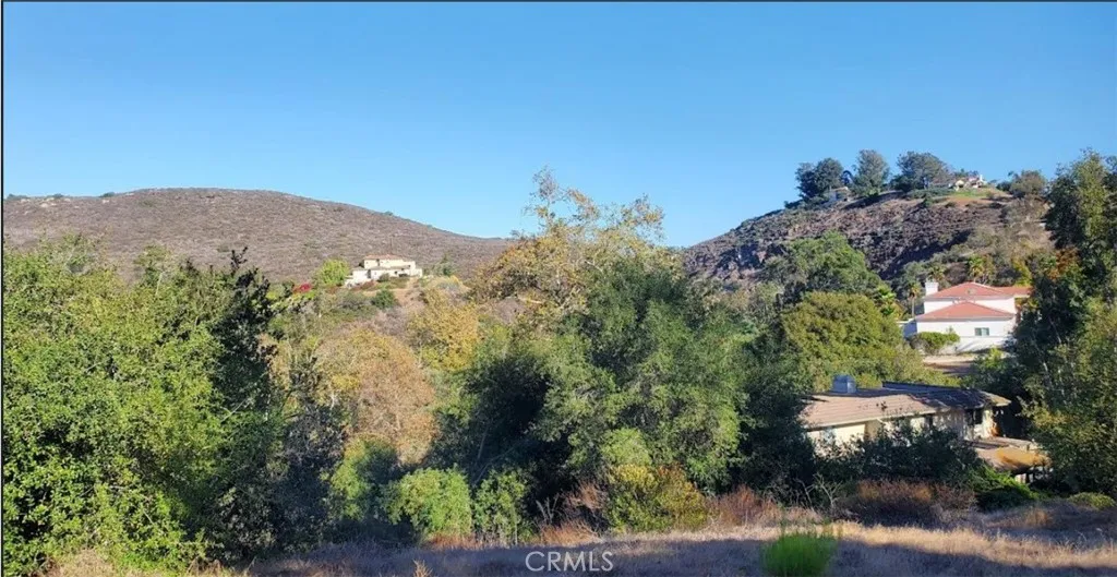 3192 Via De Caballo, Encinitas, California 92024 home-pic-8