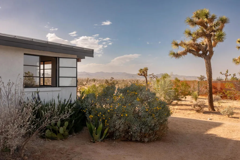 1564 Hilton Avenue, Yucca Valley, California 92284 home-pic-19