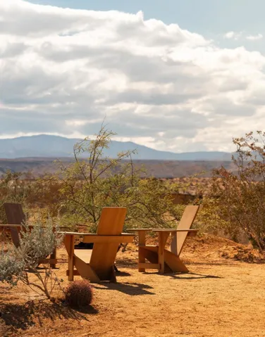 NK-Joshua Tree-11