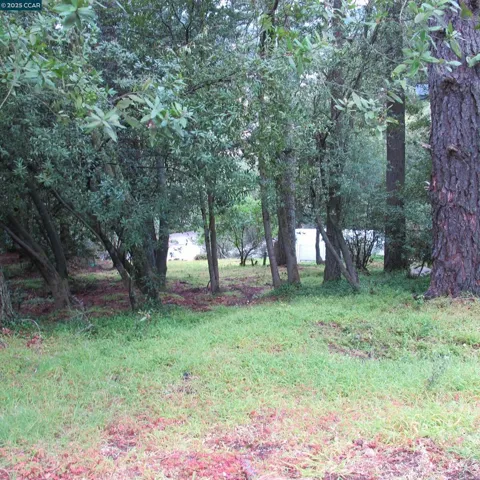 6044 Skyline Blvd, Oakland, California 94611 — photo 5