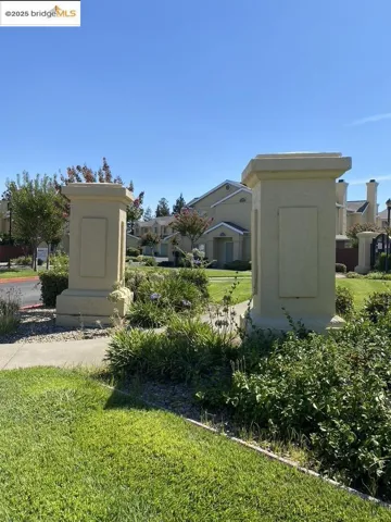 View of grassy yard where pool is situated
