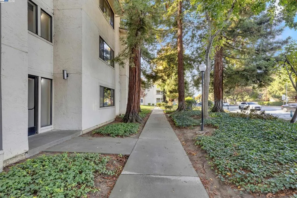 39993 Fremont Blvd 112, Fremont, California 94538 home-pic-44