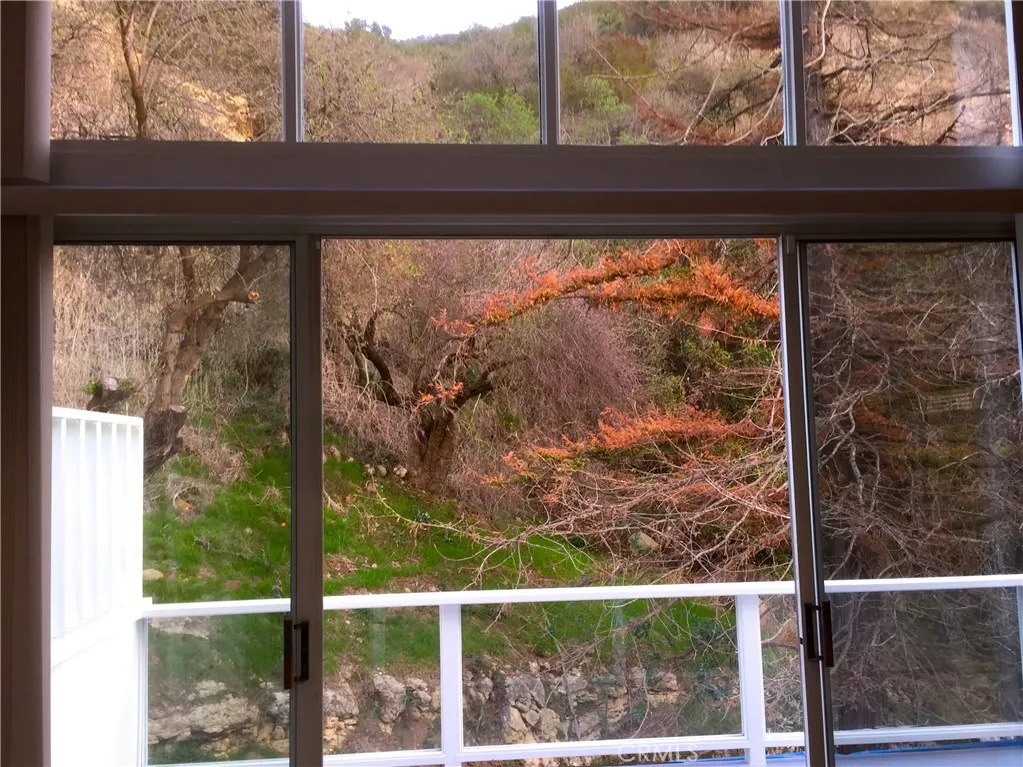 Fabulous view of Laguna Beach hillside nature