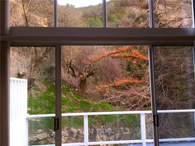 Fabulous view of Laguna Beach hillside nature