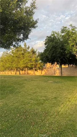 Area Behind Property