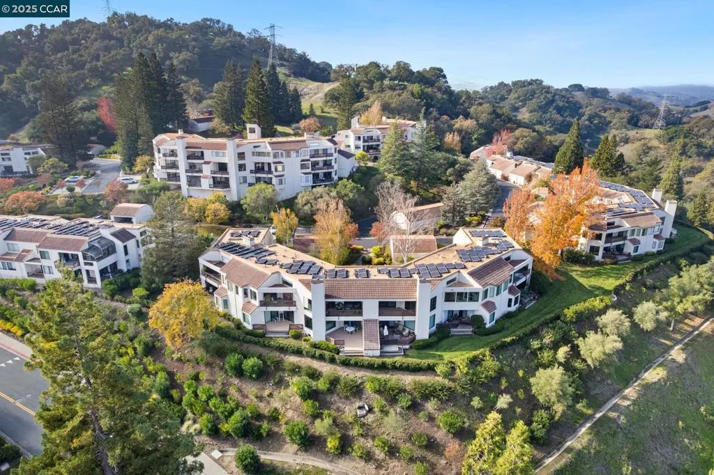 3258 Ptarmigan Dr 3b, Walnut Creek, California 94595 home-pic-37