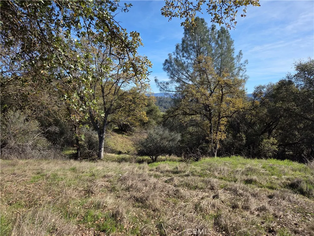 0 12.19 Ac Road 222, North Fork, California 93643 — photo 5